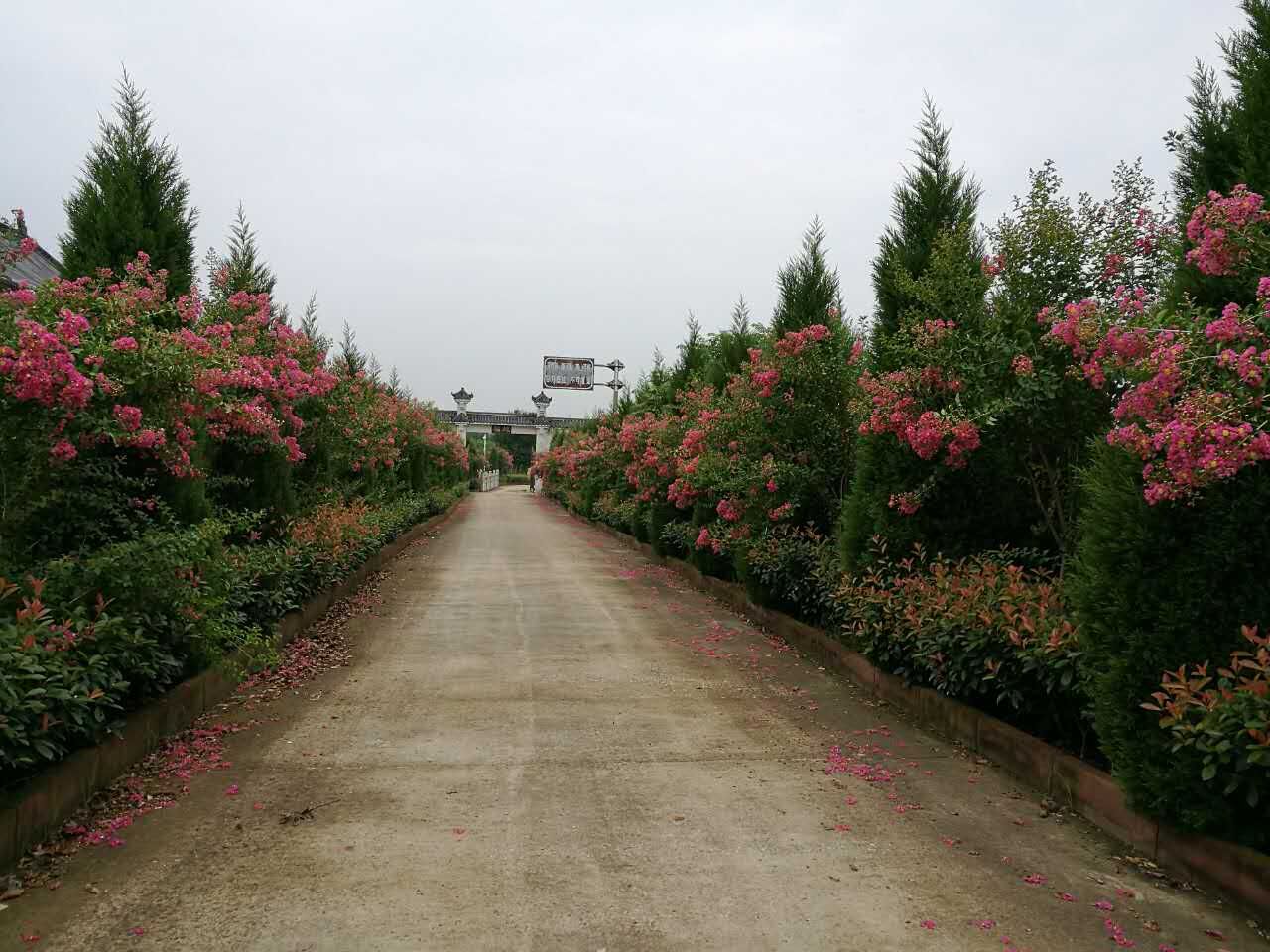 红山寺环境实拍