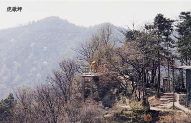 08211037453.jpg