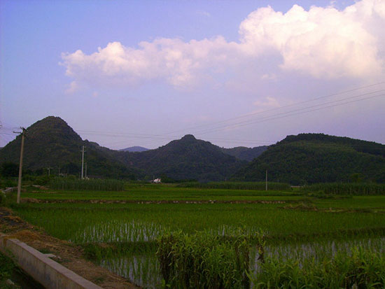 01.jpg