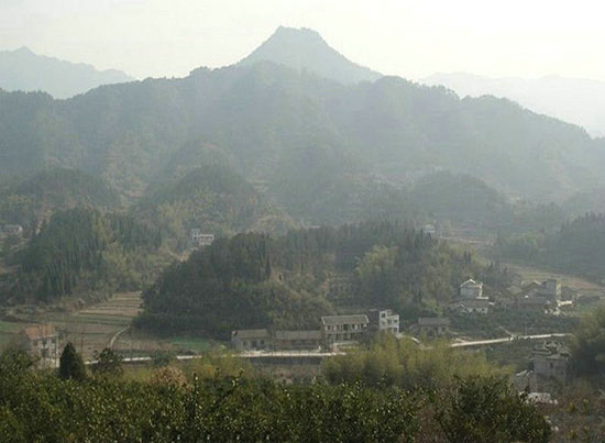 01.jpg