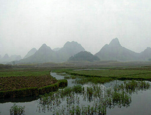 01.jpg