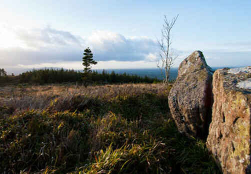 1e2cde5337e263cebb1bdf76f8239418.jpg 1e2cde5337e263cebb1bdf76f8239418.jpg