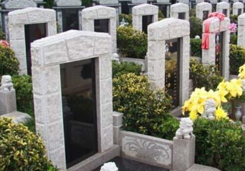 7885685e91ca131f86f8ee216a5d5dd9.jpg 7885685e91ca131f86f8ee216a5d5dd9.jpg