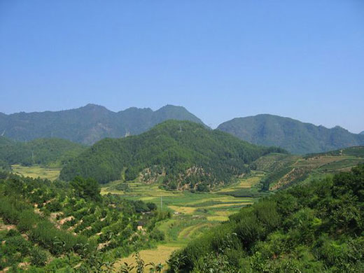 a1417153632675YK.jpg