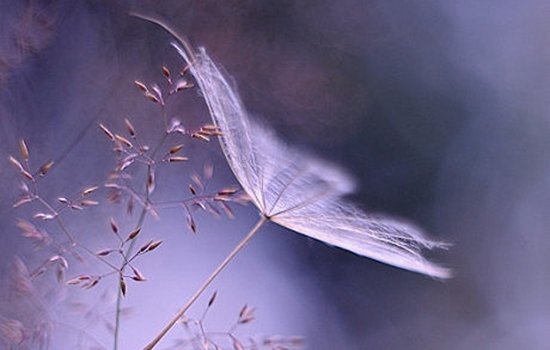 594f316ee5e4e_550_0.jpg