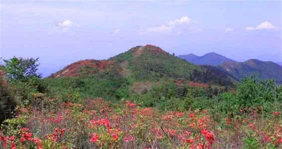 u=424639763,669980043&fm=26&gp=0.jpg u=424639763,669980043&fm=26&gp=0.jpg