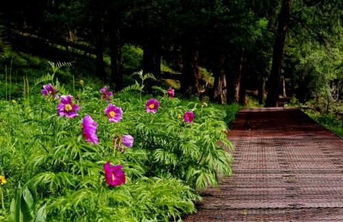 u=4225329281,89275044&fm=27&gp=0.jpg u=4225329281,89275044&fm=27&gp=0.jpg