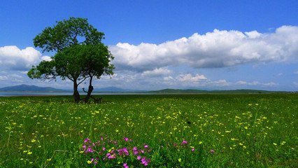 t0163f893b13df5e308.jpg t0163f893b13df5e308.jpg