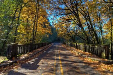 19170436000.jpg 19170436000.jpg