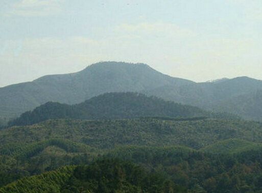 95e227bf515f8508d77d9b52010c87ac.jpg 95e227bf515f8508d77d9b52010c87ac.jpg