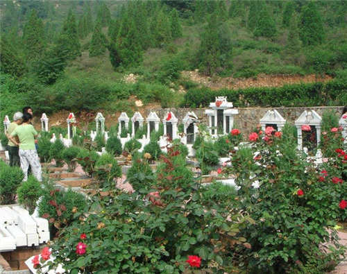 74532a2f1b50efb30d5213ec09a73647.jpg 74532a2f1b50efb30d5213ec09a73647.jpg