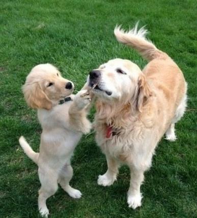 06160705109.jpg 06160705109.jpg