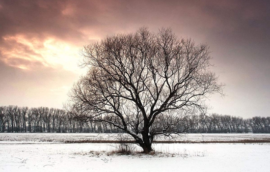 5a43418528ed2_550_0.jpg 5a43418528ed2_550_0.jpg